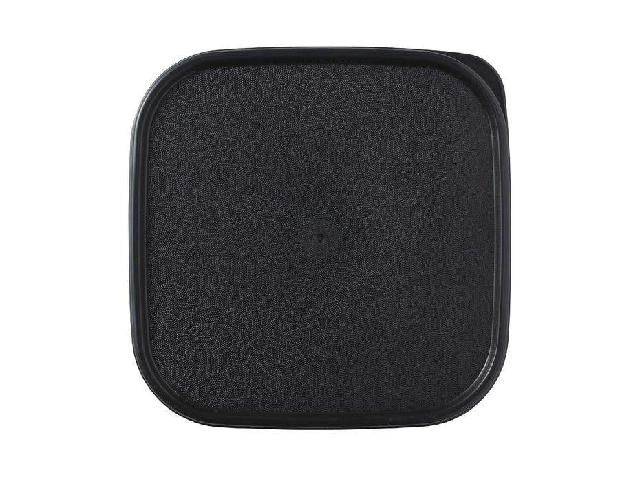 Tupperware Modular Square Dry Food Container 2.6L