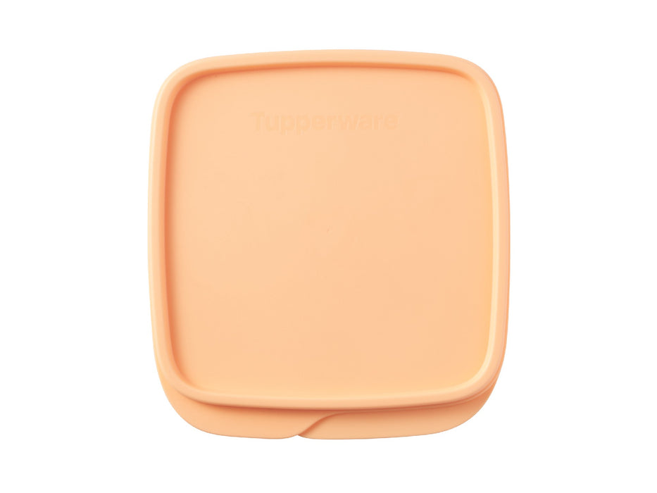 Tupperware Divided Square Lunch Box 550ML Orange