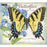 2025 Lang Calendar Butterflies by Jane Shasky