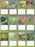 2027 Lang Calendar Hummingbirds by Susan Bourdet