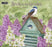 2027 Lang Calendar Birds in the Garden by Jane Shasky