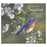 2027 Legacy Calendar Songbirds By James Hautman
