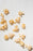 Saturday Night Pasta 375g - Dried Trottoloni