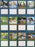 2027 Lang Calendar Love of Cats by Persis Clayton Weirs