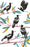 AG Tea Towel - Magpies