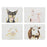 Ashdene Farmyard Faces Coaster 4pk - Assorted
