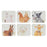 Ashdene Farmyard Faces '2' Coasters 6pk