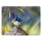 Ashdene Small Birds Surface Protector - Wren