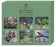 Ashdene Small Birds Coaster 6pk