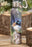 Ashdene Small Birds Drink Bottle - Blue Wren