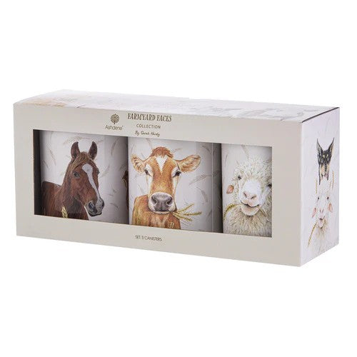 Ashdene Farmyard Faces Canister Set of 3