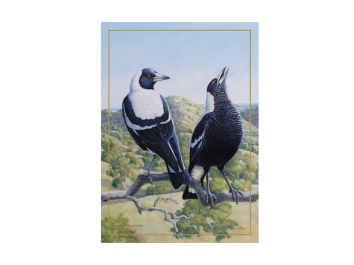 MW Birds of Australia KC 10yr Anniversary Tea Towel 50x70cm Magpie