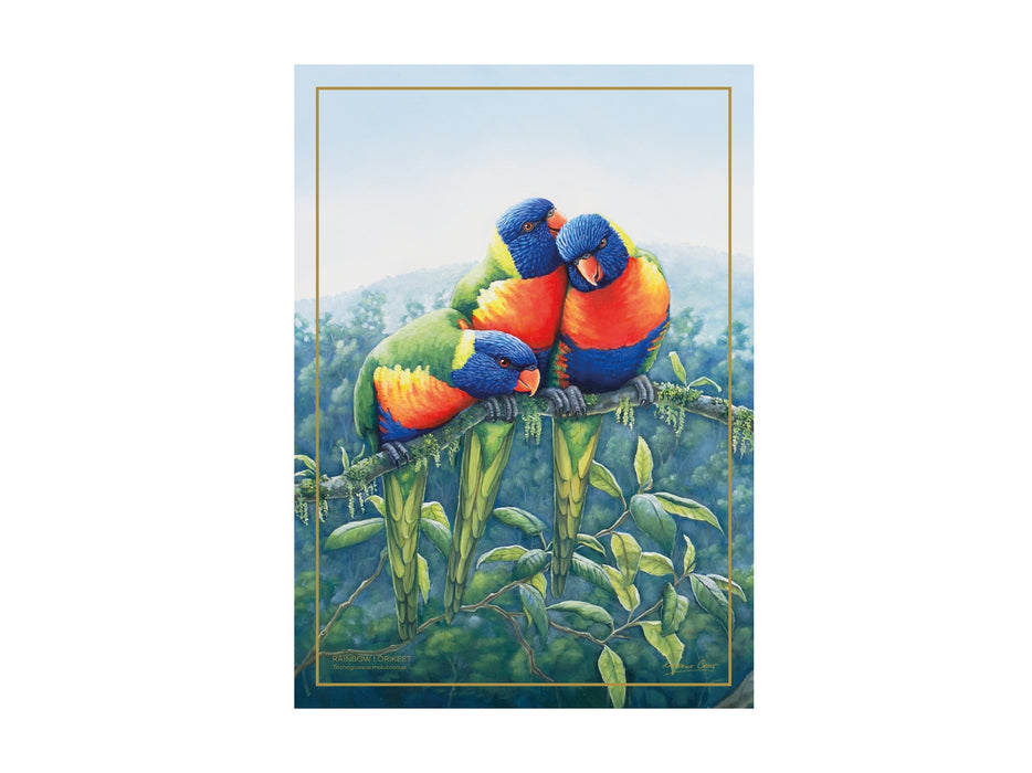 MW Birds of Australia KC 10yr Anniversary Tea Towel 50x70cm Lorikeet