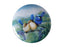 MW Birds of Australia KC 10yr Anniversary Plate 20cm Splendid Fairy Wren Gift Boxed