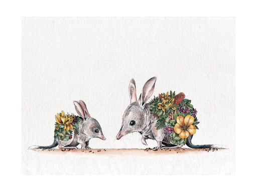MW Marini Ferlazzo Australian Families Tea Towel 50x70cm Bilby
