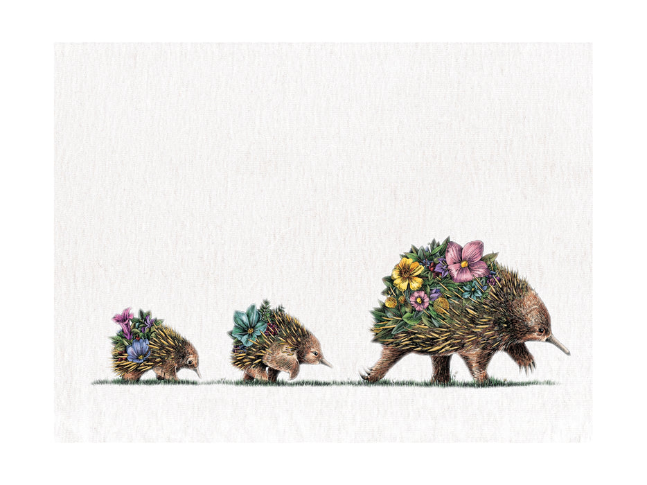 MW Marini Ferlazzo Australian Families Tea Towel 50x70cm Echidna