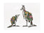 MW Marini Ferlazzo Australian Families Tea Towel 50x70cm Kangaroo
