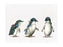 MW Marini Ferlazzo Australian Families Tea Towel 50x70cm Penguin Parade