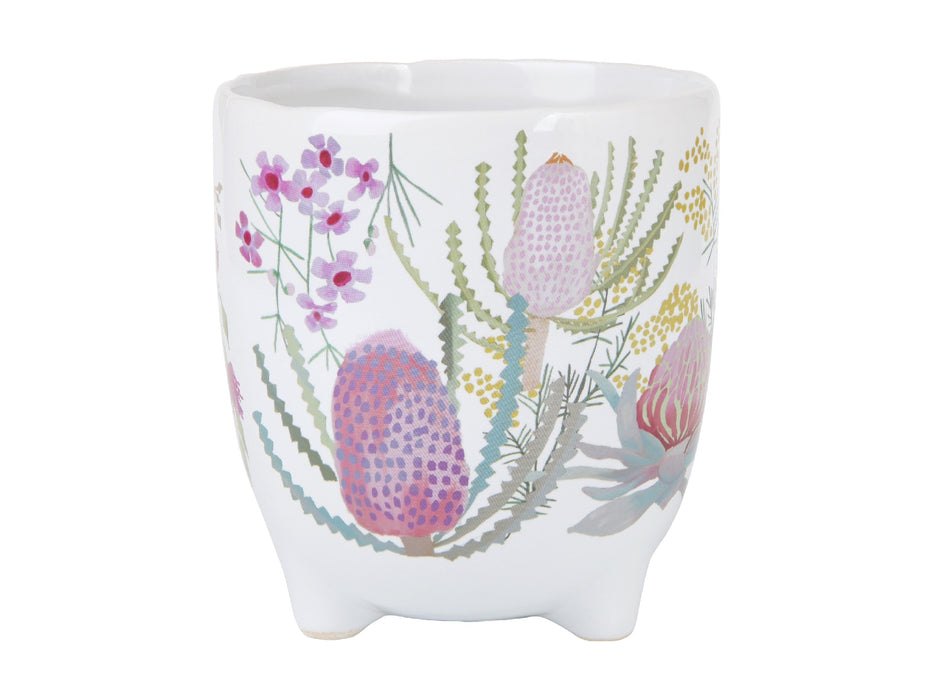 MW Royal Botanic Gardens Native Blooms Plant Pot 10cm