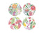 MW Royal Botanic Gardens Native Blooms Ceramic Coaster 10.5cm Set of 4 Gift Boxed