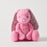 Jiggle & Giggle Bunny Medium - Floral Sherbet Pink