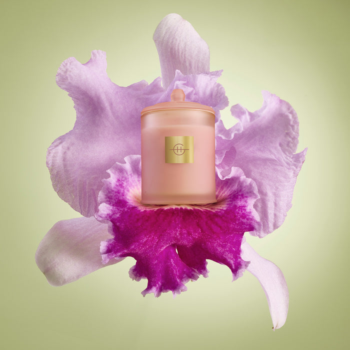 Glasshouse Candle 380ml - Radiance in Bloom