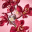 Glasshouse Candle 380ml - Radiance in Bloom