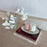 Glasshouse Candle Duo Set - Radiance in Bloom & Velvet Rhapsody