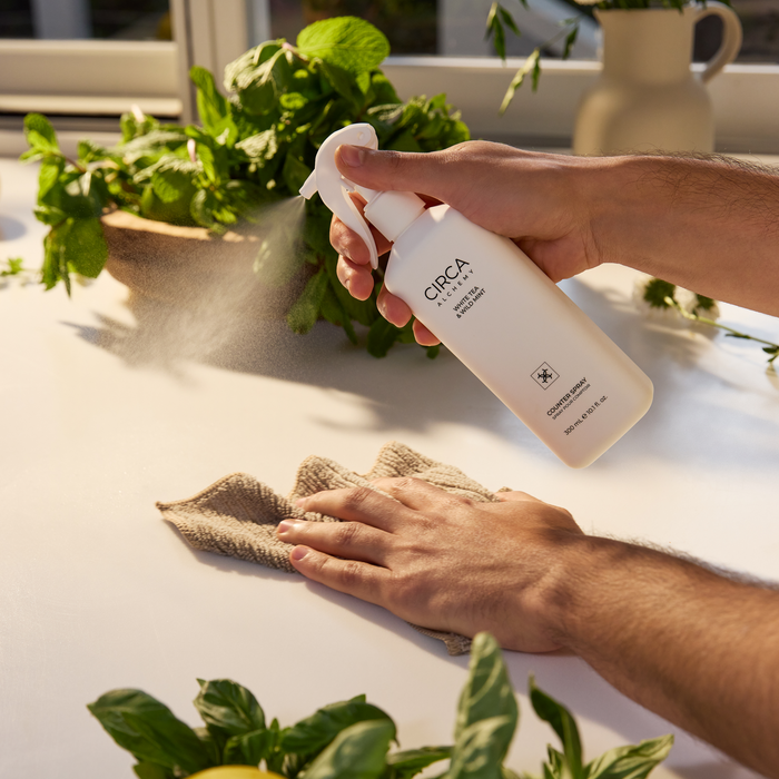 Circa Alchemy Counter Spray 300ml - White Tea & Wild Mint