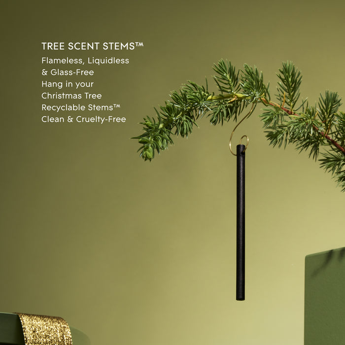 Glasshouse Christmas Tree Scent Stems - Winter Wonderland 2026