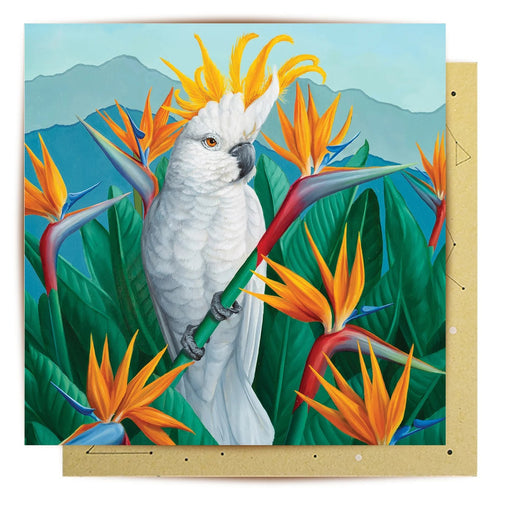 La La Land Card - Bird in Paradise