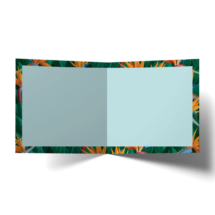 La La Land Card - Bird in Paradise