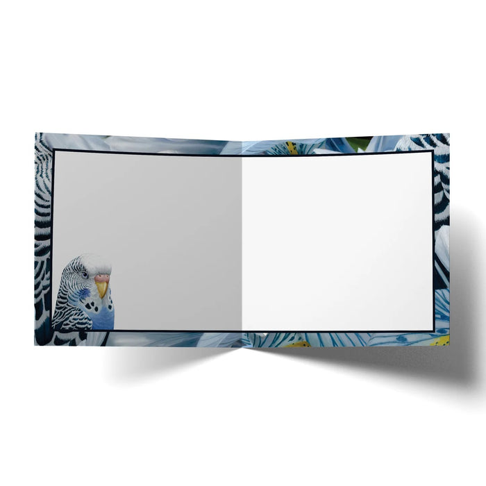 La La Land Card - Sheila Ann