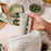 al.ive Ivory Bloom Hand and Lip Set