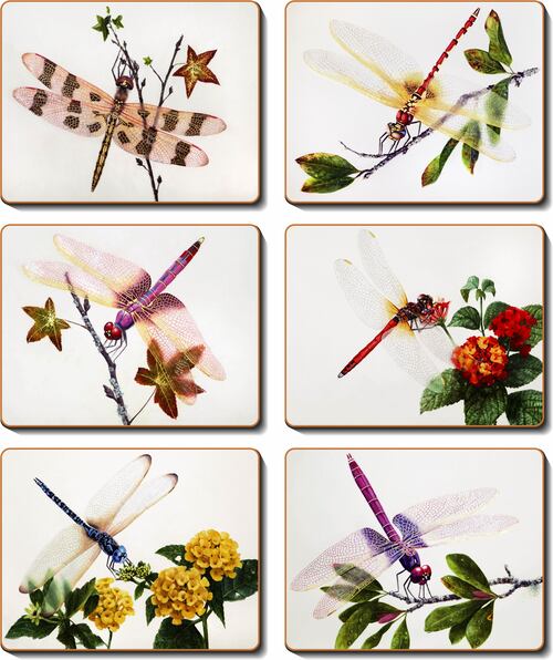 Cinnamon 'Delicate Wings' Coasters Set of 6 - Kitchen Antics