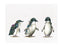 MW Marini Ferlazzo Australian Families Tea Towel 50x70cm Penguin Parade - Kitchen Antics